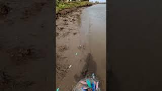discovery of illegal fishing net