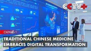 Traditional Chinese Medicine Embraces Digital Transformation