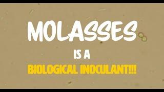 Molasses is a Biological INOCULANT not just Sugar | Regenerative Soil Microscopy with Matt Powers