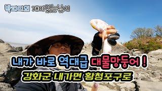 역대급 강화도 원투낚시, 서울근교낚시 , 강화도낚시 망둥어낚시채비 , 망둥어원투낚시 , 재미있는 생활낚시