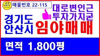 (22-115) 경기도 안산시 임야매매. 단원구 토지매매, 면적1,800평, 대로변 인근, 도시지역 자연녹지지역  ,투자가치상승 예상 [공장파트너 공인중개사 한남수TV]