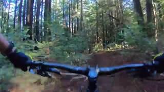 UCSC MTB Trails with the RideGuides