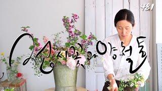 #플라워레슨 481 #접시꽃 과 낡은#양철통 #꽃꽂이 #Flowerlesson 481 #vintage#Tinbucket#flowerarrangement