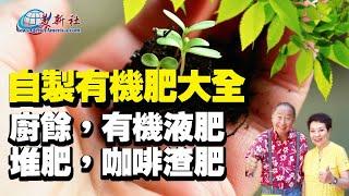 自製有機肥大全，廚餘，有機液肥，堆肥，咖啡渣有機肥。【園藝達人】有機肥製作合集