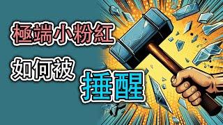 小粉紅如何被錘醒| 反洗腦的心路歴程｜仇恨教育下精神分裂的過去