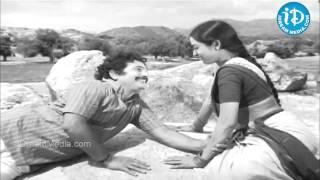 Maavi Chiguru Song - Seetha Mahalakshmi Movie Songs - ChandraMohan - Talluri Rameswari