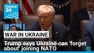 Trump says Ukraine can ‘forget about’ joining NATO • FRANCE 24 English