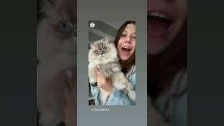 TUANA ZEYBEK VE  KEDİSİ