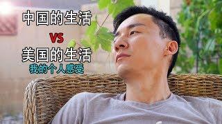 在美国和中国生活的真实差异，不做评论，只说感想。【MickeyworksTV】