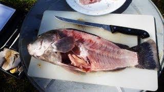 How to Fillet a Fish (quick and easy way)