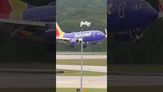 Southwest 737 Landing #b737  #aviation #planes #rdu #airplane #planelanding #southwestairlines