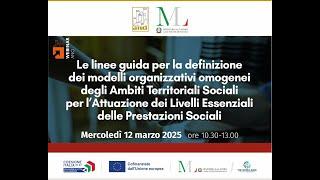 Webinar sulle linee guida definizione modelli organizzativi Ambiti Territoriali Sociali