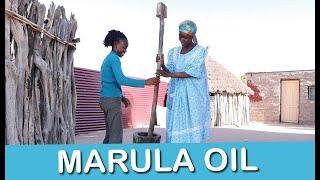 HOW TO MAKE MARULA OIL (Ondjove) OWAMBOLAND NAMIBIA - village life in Namibia - Lempies