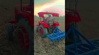 #cg Tractor Lover🫰