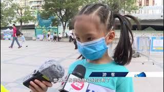 广州：拥有国内最大华南虎种质资源库