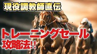 【調教師に聞く】トレーニングセールで活躍馬を見極めるコツ!!タイムよりも大切なのとは!? byJAPANOZ中條調教師