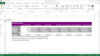 How to Use Excel Scenario Manager