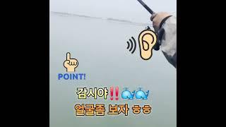 #감성돔낚시#선상낚시#카고원투낚시#대물감성돔#목포야타피싱#파란만장#행복#도파민#fishing#바다로가즈아^^