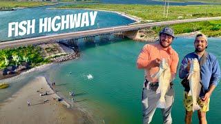 Bridge Fishing HIGH Winds PAID Off!