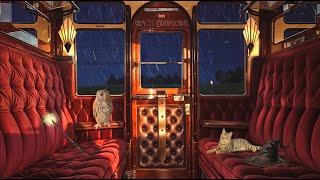 Rainy night train ride to Hogwarts w/ vintage oldies music ️ Relaxing Train & Rain Sounds for Sleep