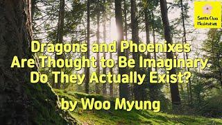 Master Woo Myung - Q&A - Dragons and Phoenixes Are Thought to Be Imaginary. Do They Actually Exist?