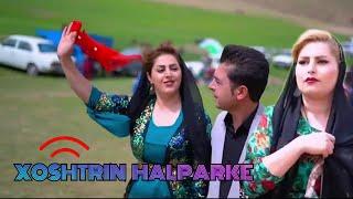 هلپرکی ونوروز کوردی گلیان شاد فول هلپرکی فرشاد امینی  | best kurdish dance