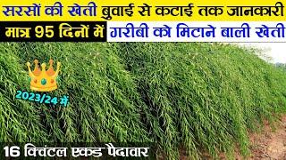 सरसों की खेती | Sarso ki kheti kaise karen 2023/24 me | Mustard farming | full video