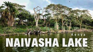 Scenic Wonders of Lake Naivasha, Kenya