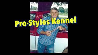 Pro-Styles Kennel Getting Some Fresh Air
