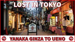 YANAKA GINZA to UENO walking ADVENTURE  tour | Lost in Tokyo