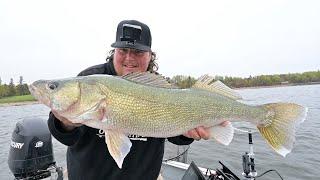 30" Walleye On Big Sky Hecla Hammers And Crush City Plastics!