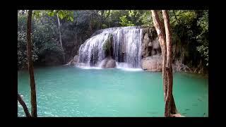 1 Hour Nature Sound - Forest Waterfall sound - Relaxing, deep sleep, stress relief,Meditation, study