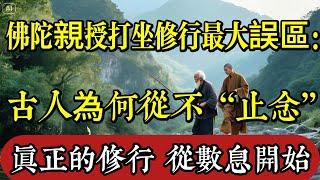 打坐修行最大誤區：古人為何從不“止念”，只教你數呼吸？佛陀親授方法，顛覆認知！|佛教 |佛學知識|修心修行|禪悟人生 |南無阿彌陀佛|養生|談佛心安