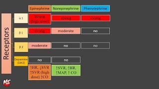 Vasopressor and Inotropes - Made Easy