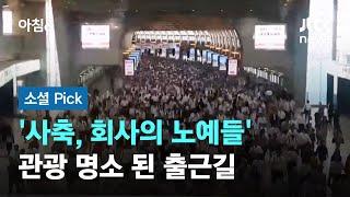 "압도적 경치"…일본 직장인 출근길 '관광 명소' 된 이유 #소셜픽 / JTBC 아침&