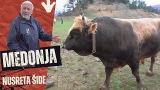 Medonja od Nusreta Šide