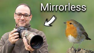 Wildlife Photography for Beginners: 5 Tips for Mirrorless