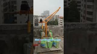 Customers feedback#mini lift machine#winch#construction#lifting #mini monkey hoist#mini pickup crane