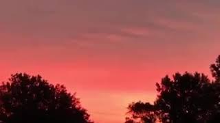 Sunrise Video Time Lapse Nature Clip: Sunset Sunrise & Bird Sounds