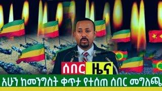 Breaking Ethiopia News NOW! | አሁን በኢትዮጵያ ውሰጥ እየተፈጸመ ያለው መረጃ | ethiopian news today 23 November 2024