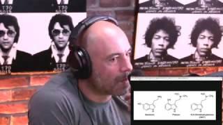 Joe Rogan - Mushrooms vs. DMT