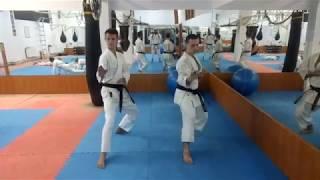 KWF kihon training - Karatenomichi Ukraine