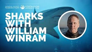 CWF Webinars: Shark webinar with William Winram, Canadian Freestyle Diver