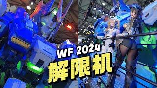 WF2024 解限机