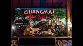 Night Safari in Chiang Mai, Thailand | EP8