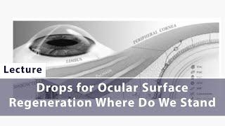 Drops for Ocular Surface Regeneration Where Do We Stand