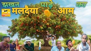 मालदे आम #आम #mango #viralvideo #youtubevideo  #comedy  #viralvideos  #trending #trendingvideo