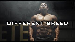 BODYBUILDING MOTIVATION - DIFFERENT BREED