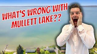 WATCH THIS Before Buying on Mullett Lake