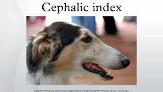 Cephalic index